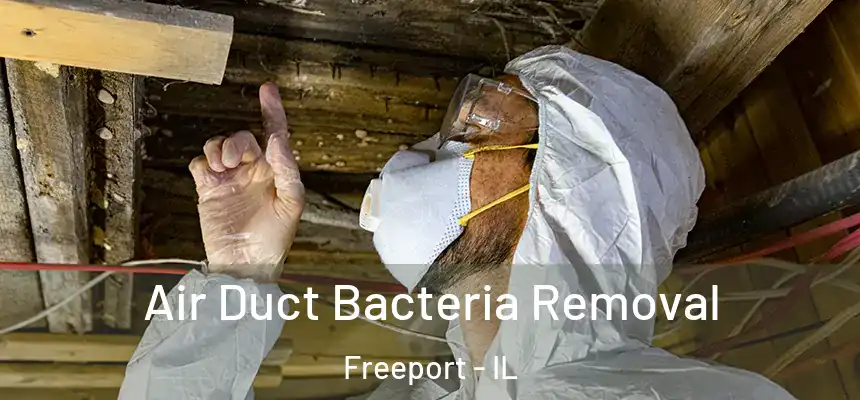 Air Duct Bacteria Removal Freeport - IL
