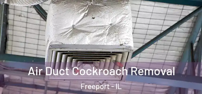  Air Duct Cockroach Removal Freeport - IL