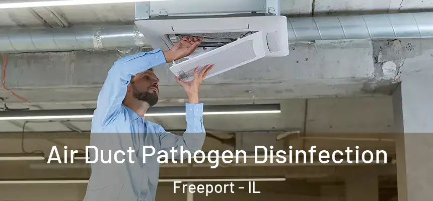 Air Duct Pathogen Disinfection Freeport - IL