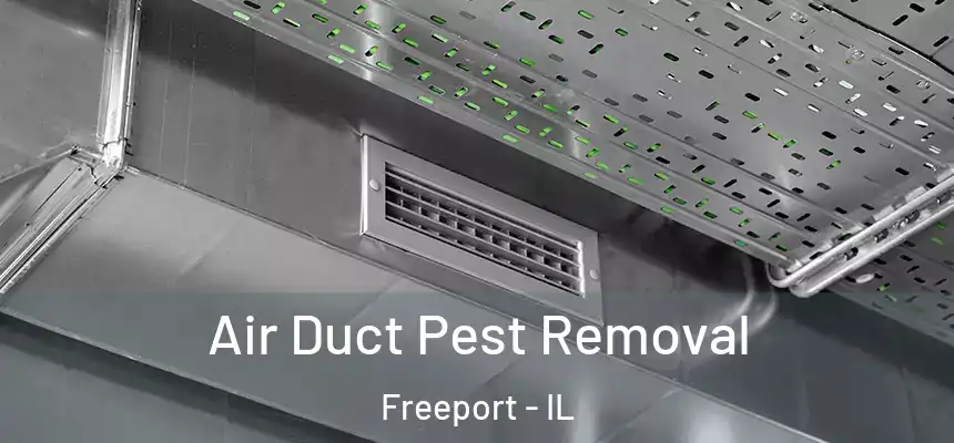Air Duct Pest Removal Freeport - IL