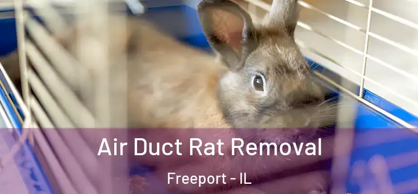 Air Duct Rat Removal Freeport - IL