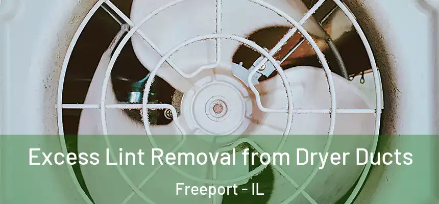 Excess Lint Removal from Dryer Ducts Freeport - IL
