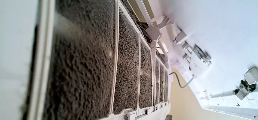 Preventive Air Duct Bacteria Removal in Freeport