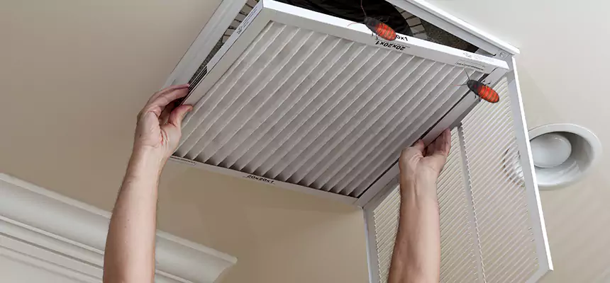 Our Insect Removal from Air Ducts Services in Freeport, IL
