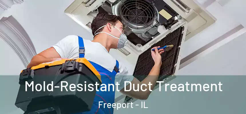 Mold-Resistant Duct Treatment Freeport - IL