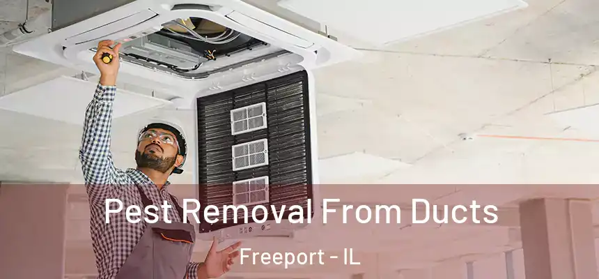  Pest Removal From Ducts Freeport - IL
