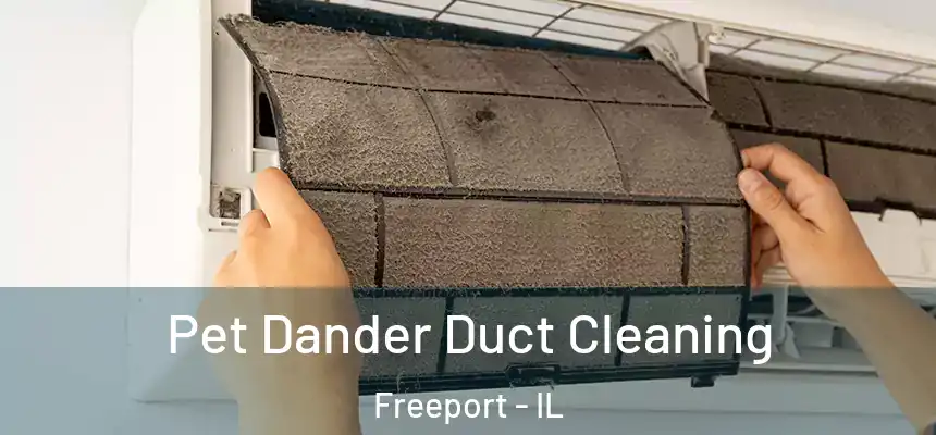  Pet Dander Duct Cleaning Freeport - IL