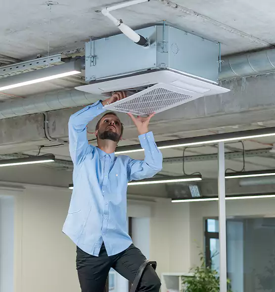 Advanced Rodent Droppings In Vents in Freeport, IL