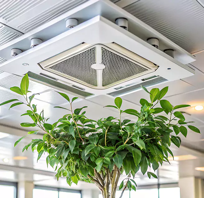 Why Homeowners & Businesses Trust Us in Freeport, IL