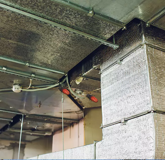 Why Homeowners & Businesses Trust Us Freeport, IL?