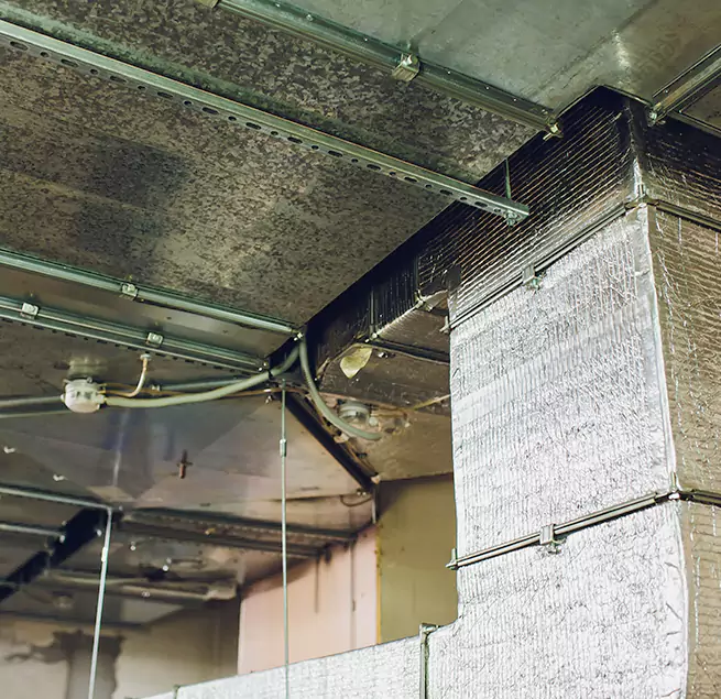 Why Homeowners & Businesses Trust Us in Freeport, IL?